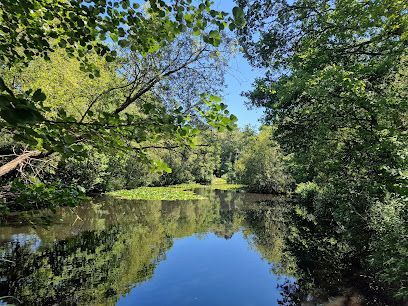 Beechwood Way Pond
